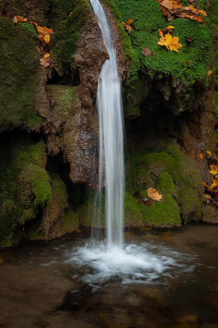 A tiny waterfall