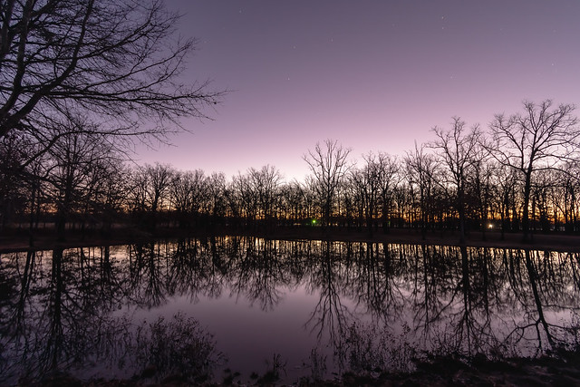 Blue Hour at the Pond