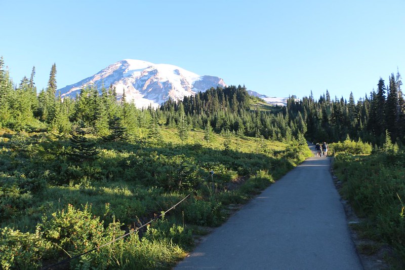 Hiking uphill on the Skyline Loop Trail (we went clockwise) with Mount Rainier towering above us in the distance