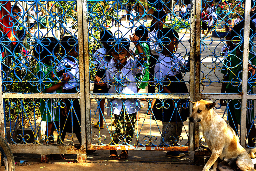 Dog just outside Phnom Krom Suwon Primary School on 1-31-23--Phnom Krom copy