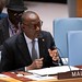 Security Council Meets on Situation in Mali