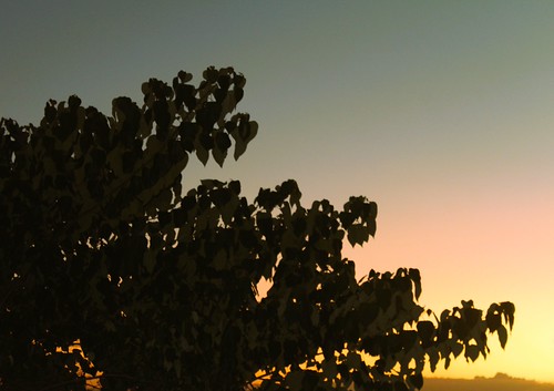 SUNSET by PINOY PHOTOGRAPHER, Another dayamadeo cavite luzon philippines asia world quality photo