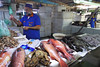 Centrální rybí trh v Džiddě, foto: Petr Nejedlý
