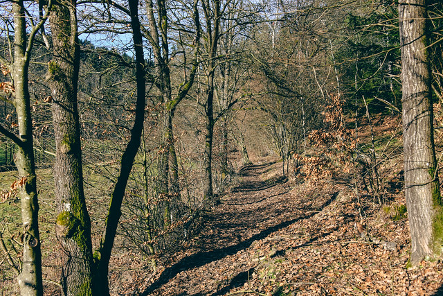 Hiking - Höllbach