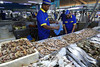 Centrální rybí trh v Džiddě, foto: Petr Nejedlý