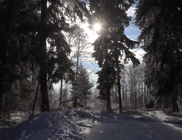 Winter Day in Bavaria