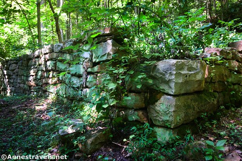 The ruins of the foundation of the White Schoolhouse (or White Church... I forget which) in Nuttallburg, New River Gorge National Park, West Virginia