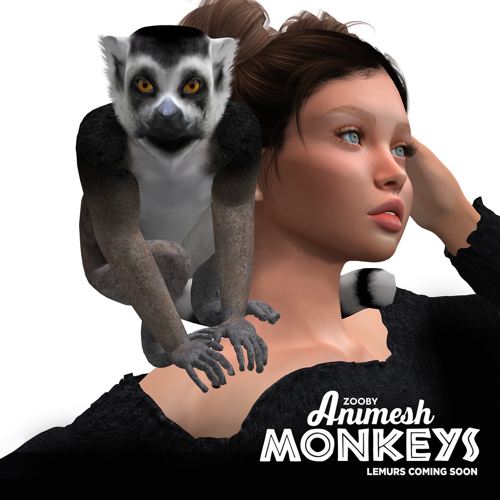 Zooby Animesh Lemurs