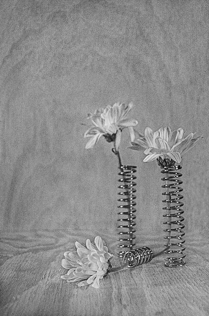 Still Life With Springs and Daisies