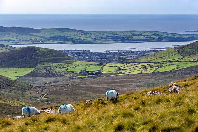 Dingle from the Connor Pass
