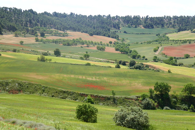 Descente vers Daroca, N330, comarque de Campo de Daroca, province de Saragosse, Aragon, Espagne.