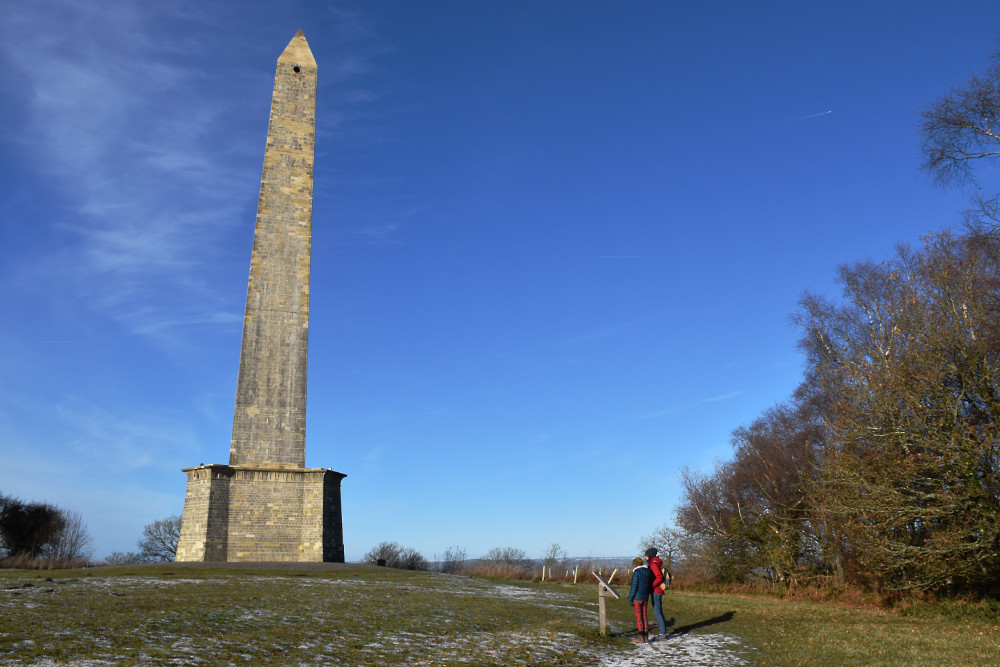 The Wellington Monument in Somerset