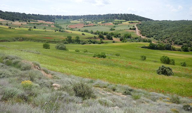 Descente vers Daroca, N330, comarque de Campo de Daroca, province de Saragosse, Aragon, Espagne.