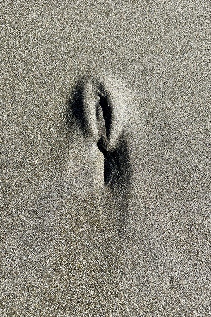 Soft, sensual shape in the sand, I