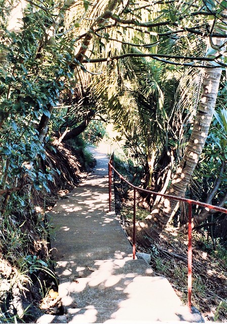 scanned film photographs: trip to tahiti: back on land after cruise, walkway down to our hotel's beach 6-86*