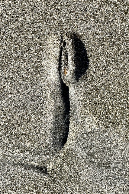 Soft, sensual shape in the sand, II