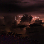 26. Veebruar 2019 - 12:03 - Lightning, Northern Territory, Australia