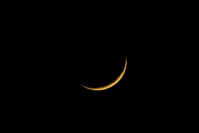 Crescent Moon '23