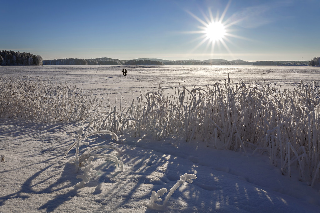 Sunny afternoon in the cold weather at Lake Kallavesi