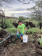 Hawaiian Electric at the Waikōloa Dry Forest Preserve on Hawaiʻi Island — Jan. 28, 2023: Mahalo to our keiki for helping Waikōloa Dry Forest Initiative's conservation efforts.