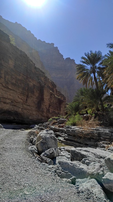 Январский Оман 2023. Горы, Wadi. C детьми.