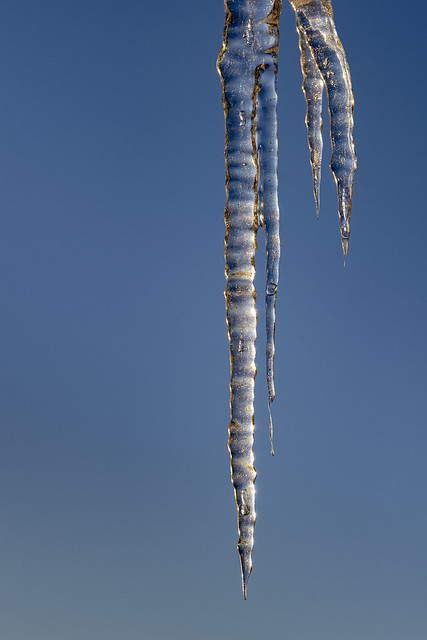 Icicle in the Morning Light - 1744