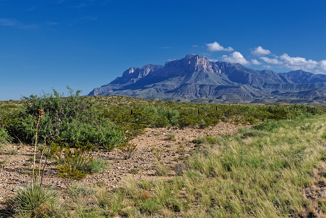 Mountain Boutique (Guadalupe Mountains National Park)