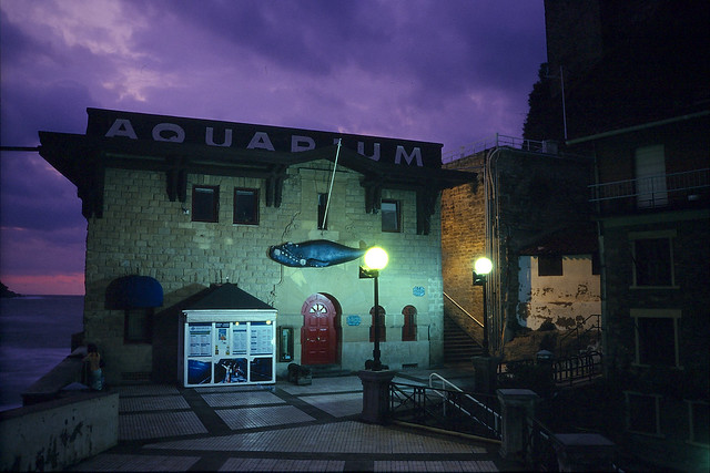 Donostia / San Sebastián - Aquarium