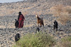 Al Wahbah, v okolí kráteru se pasou ovce i velbloudi, foto: Petr Nejedlý