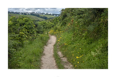 The path from Looe to Talland