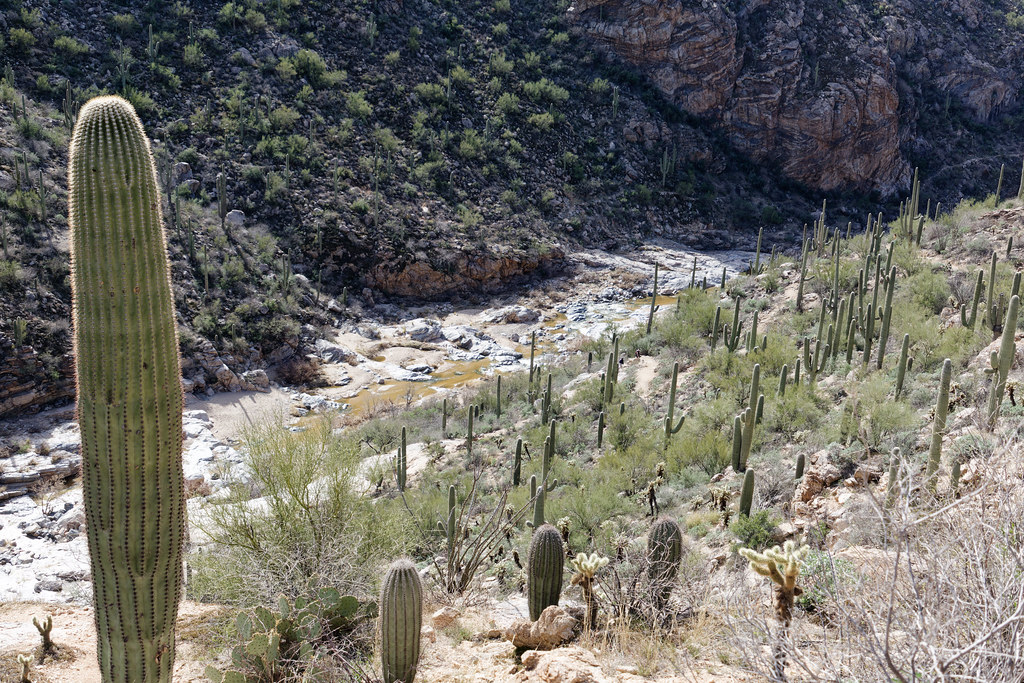 Tanque Verde Rim Loop
