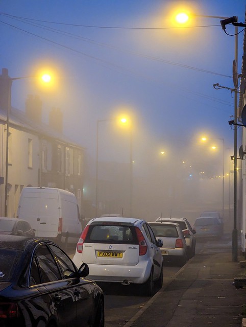 Foggy Morning shot on Pixel 6 Pro