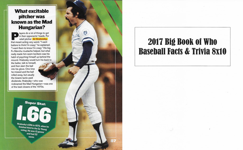2017 Big Book of Who - Baseball Facts and Trivia - Hraboksy, Al