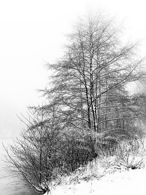 Winter in Freiberg