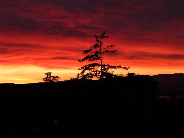 02.03.23. The fire sky - Le ciel de Feu