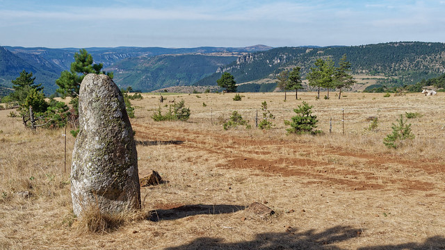 Menhir de la Fage - Les Bondons - Lozère