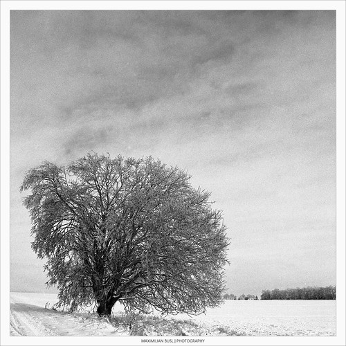 Baby, It's Cold Outside (III) by Maximilian Busl, Some more impressions of a winter walk through my homeland. Although I am not a fan of the winter se