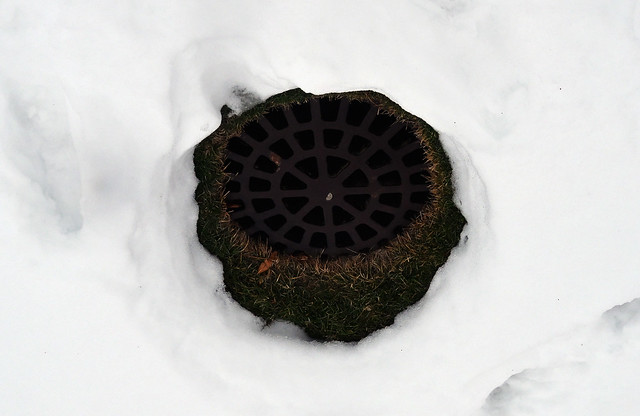 Sewer Hole