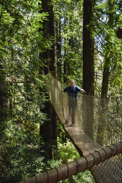 Exploring Redwood Canopies