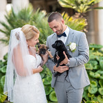 Bride and groom looking at the puppies 