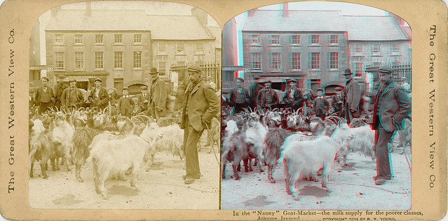 In the Nanny Goat-Market. The milk supply for the poorer classes,Athlone,Ireland.1903.