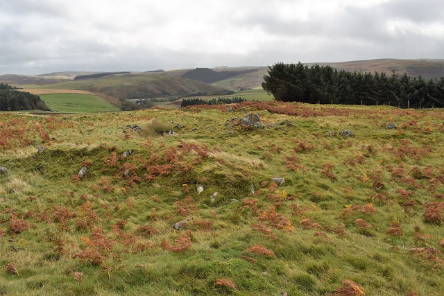 Grieve's Ash prehistoric settlement, Northumberland