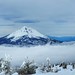 Mt McLoughlin from the Summit of Pelican Butte