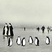 Wallpaper Collage: Penguins on Ice - Seegfrörne 1963 Bodensee - Linux Tux