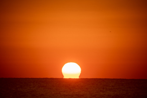 Myrtle Beach Travel Park Moon setting Sunrise Foggy Lens 20230206_0294