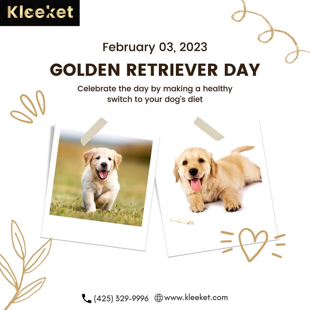 Have a pawfect Golden Retriever Day with Kleeket