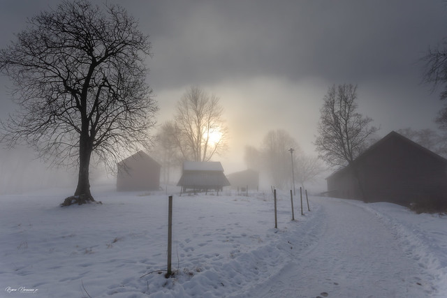 Slottsfjell frost mist I
