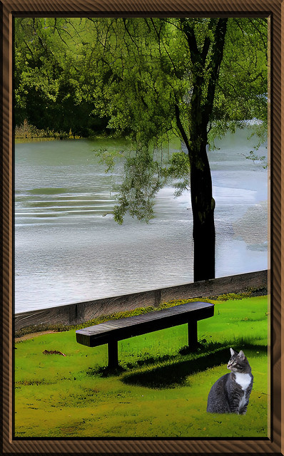 Bench By The River
