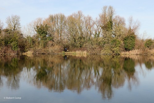 ely reflections elycountrypark roswellpits lake cambridgeshire england unitedkingdom uk winter february trees landscape canoneos250d water eastanglia