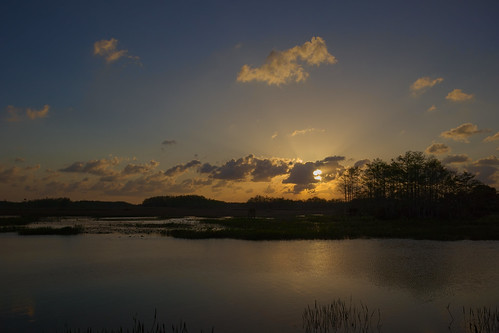 Grassy Waters sunset by jjackowski, sunset grassywaterspreserve rawtherapee canonefm1122mmf456isstm
